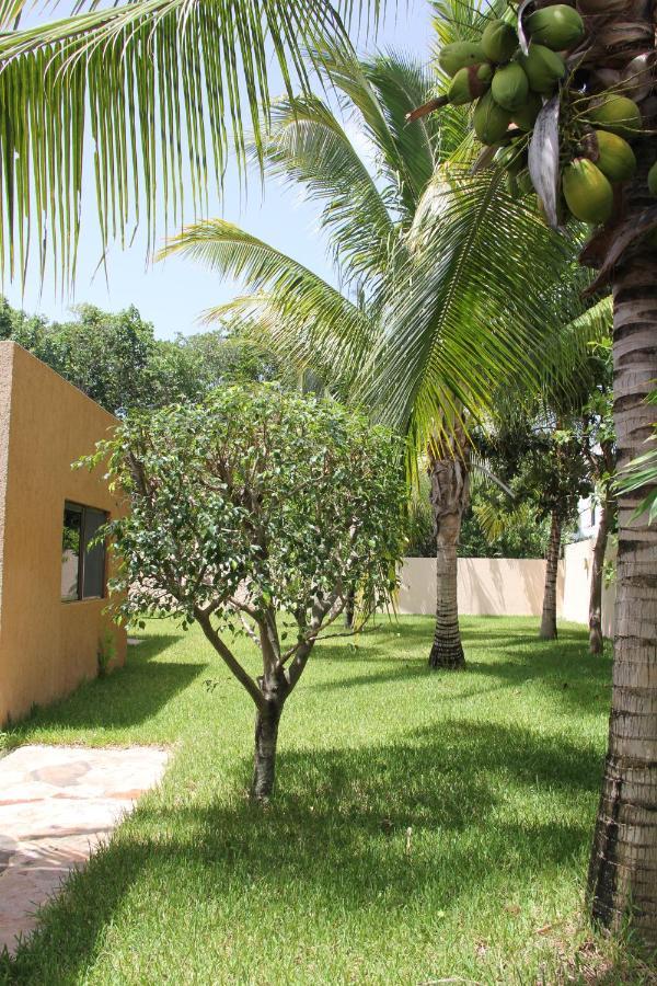 Myoli Wellness & Happiness Bnb Playa del Carmen Exterior photo