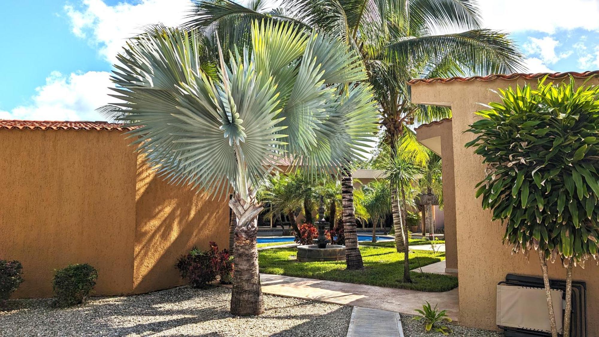 Myoli Wellness & Happiness Bnb Playa del Carmen Exterior photo